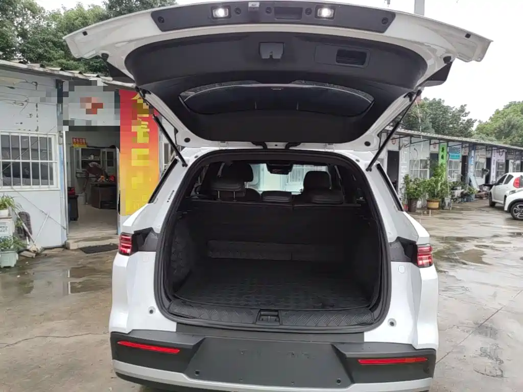 BYD Pro New Energy — миниатюра 19