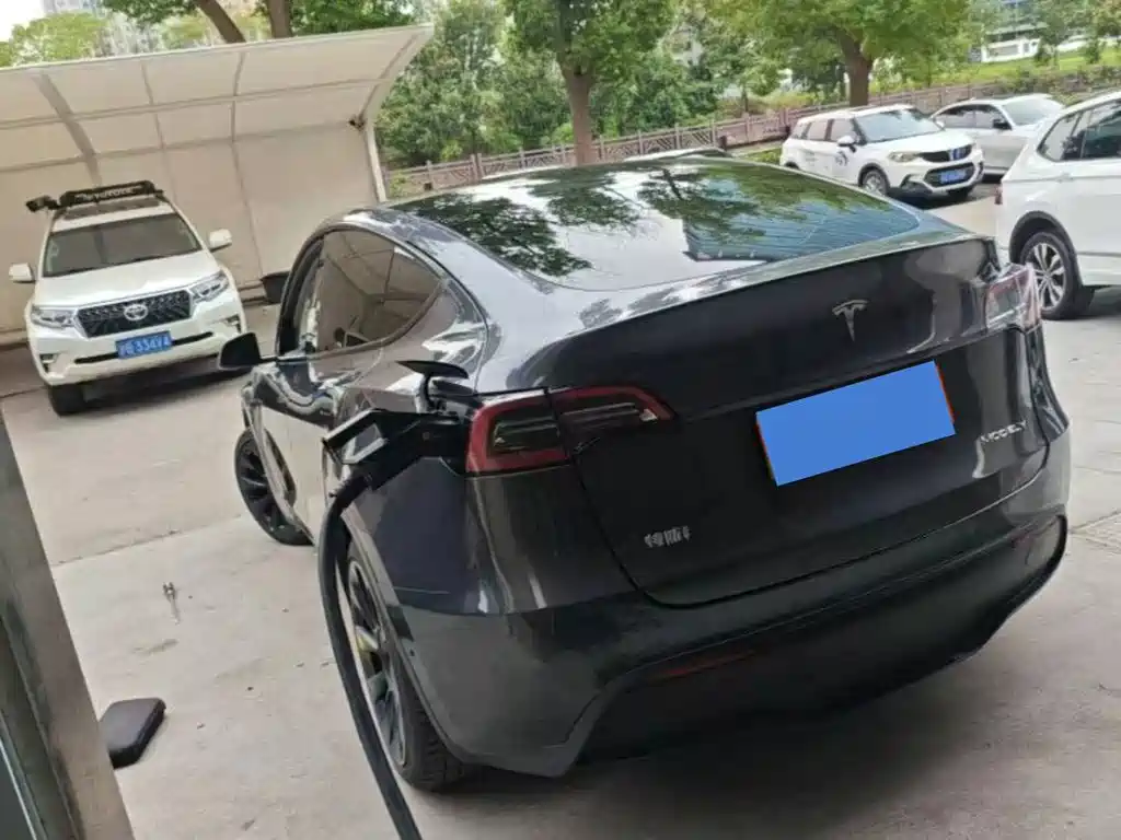 Tesla Model Y — миниатюра 5