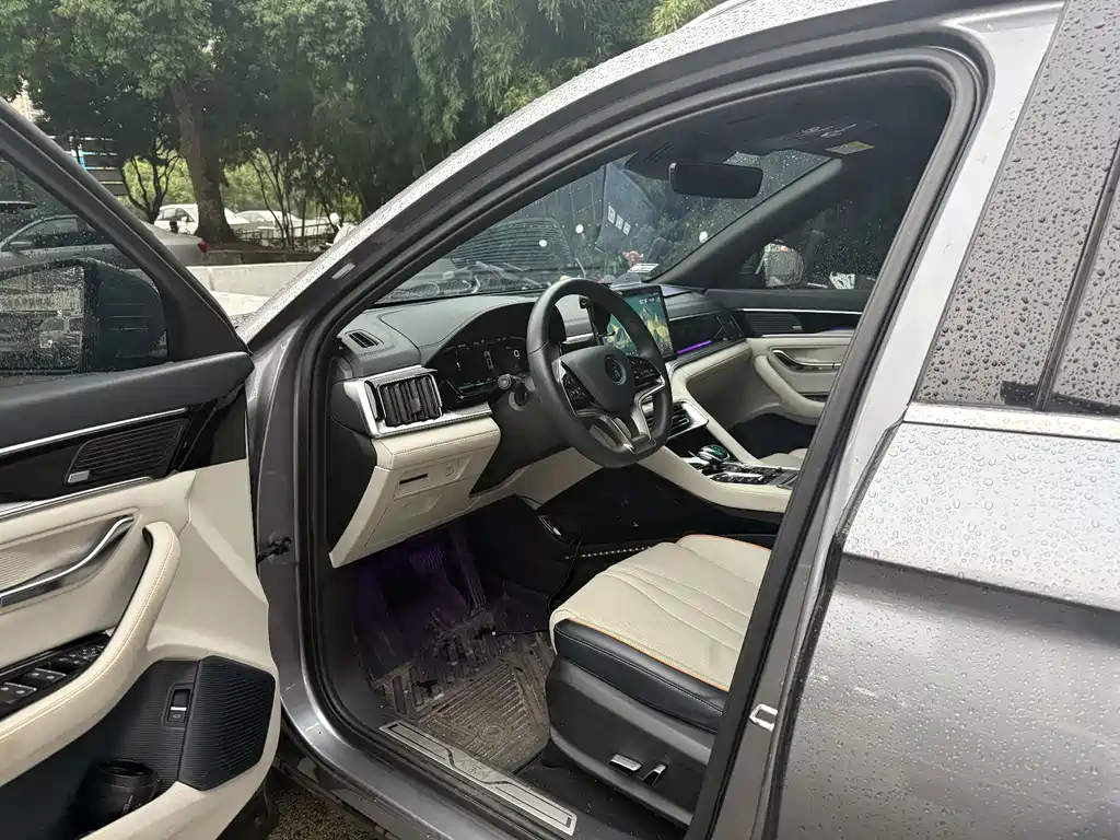BYD PLUS New Energy — миниатюра 10