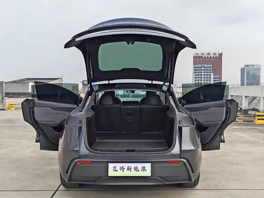 Tesla Model Y — миниатюра 10