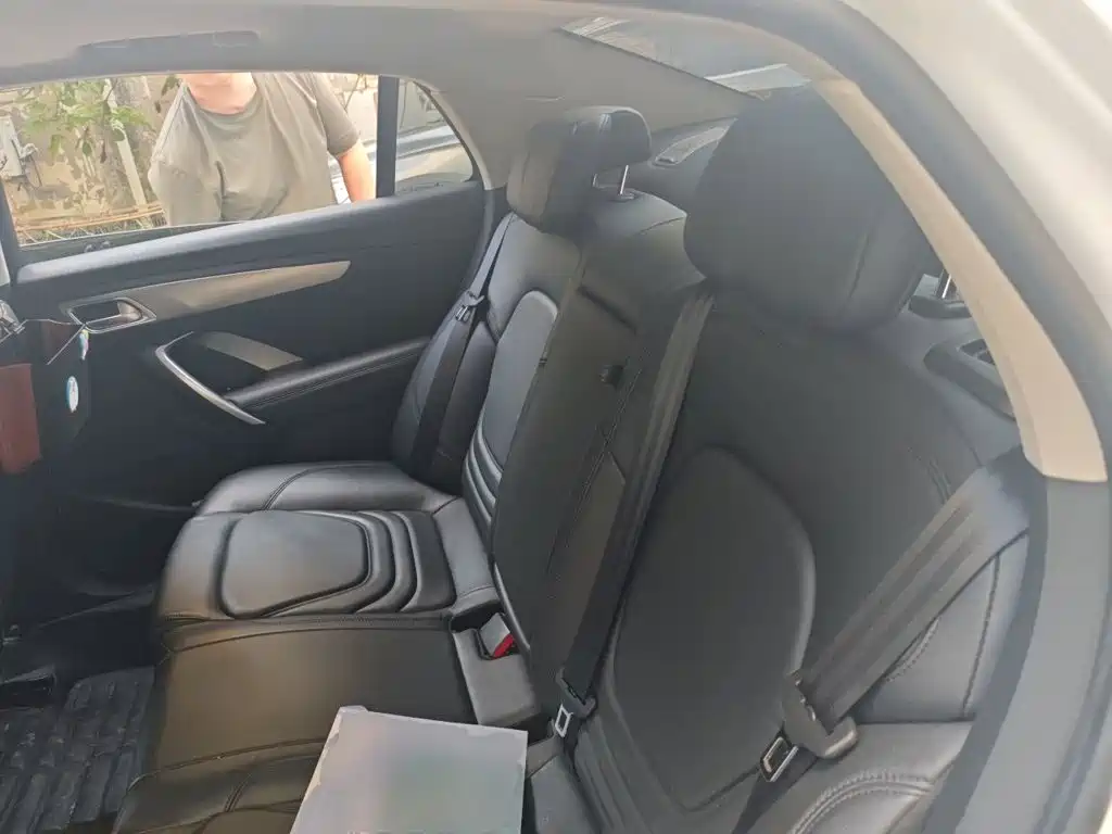 DS DS 5LS — миниатюра 18