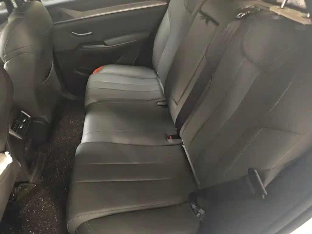BYD Pro New Energy — миниатюра 18