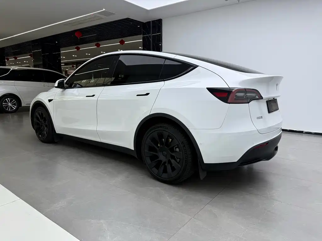 Tesla Model Y — миниатюра 4