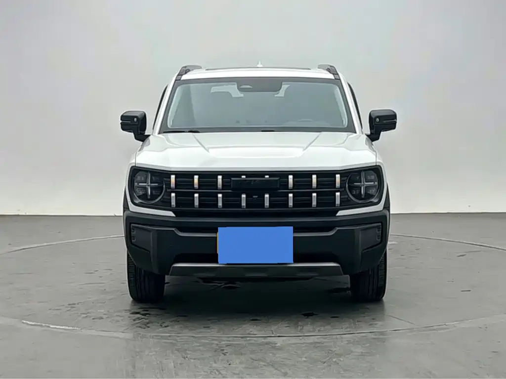 Haval Cool Dog — миниатюра 2