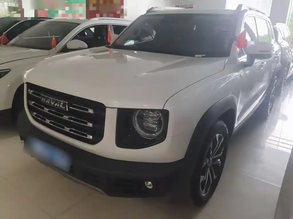 Haval Big Dog — миниатюра 2