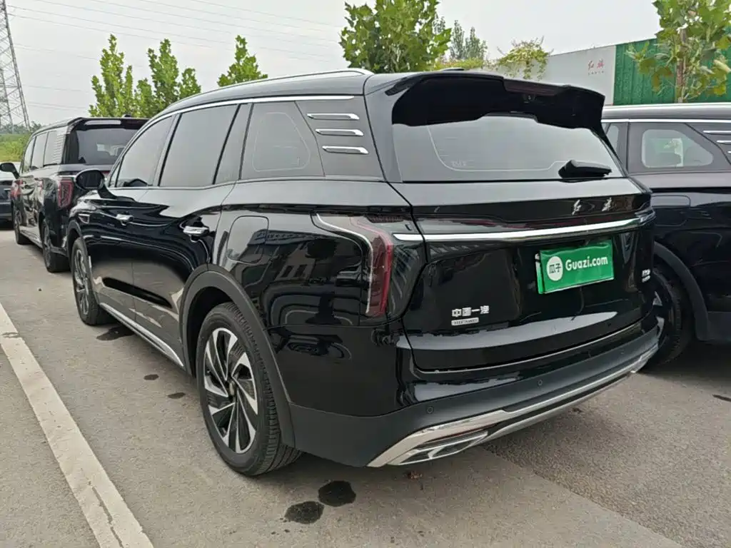 Hongqi Hongqi HS7 PHEV — миниатюра 5