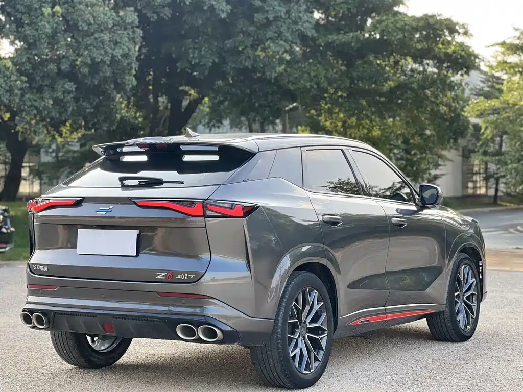 Oshan Oushang Z6 — миниатюра 16