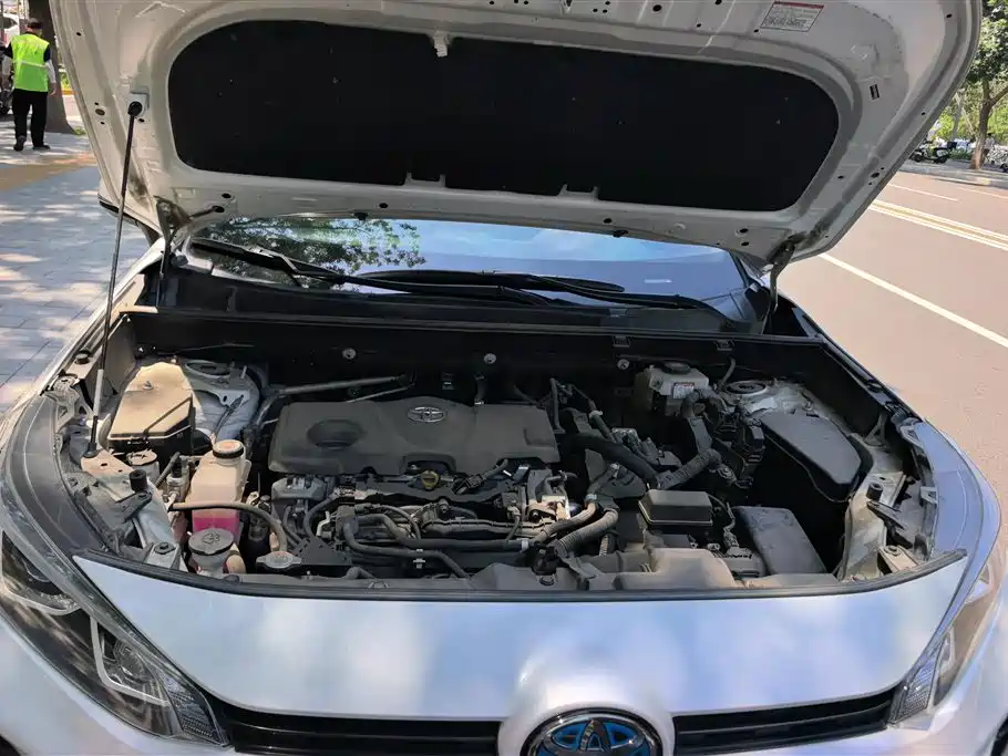 Toyota Wildlander 2020 2.5L E-CVT Luxury