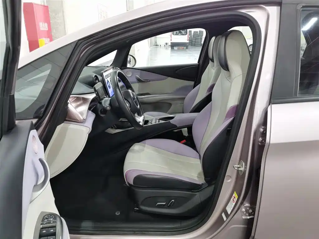 BYD Dolphin 2021 405km Fashion