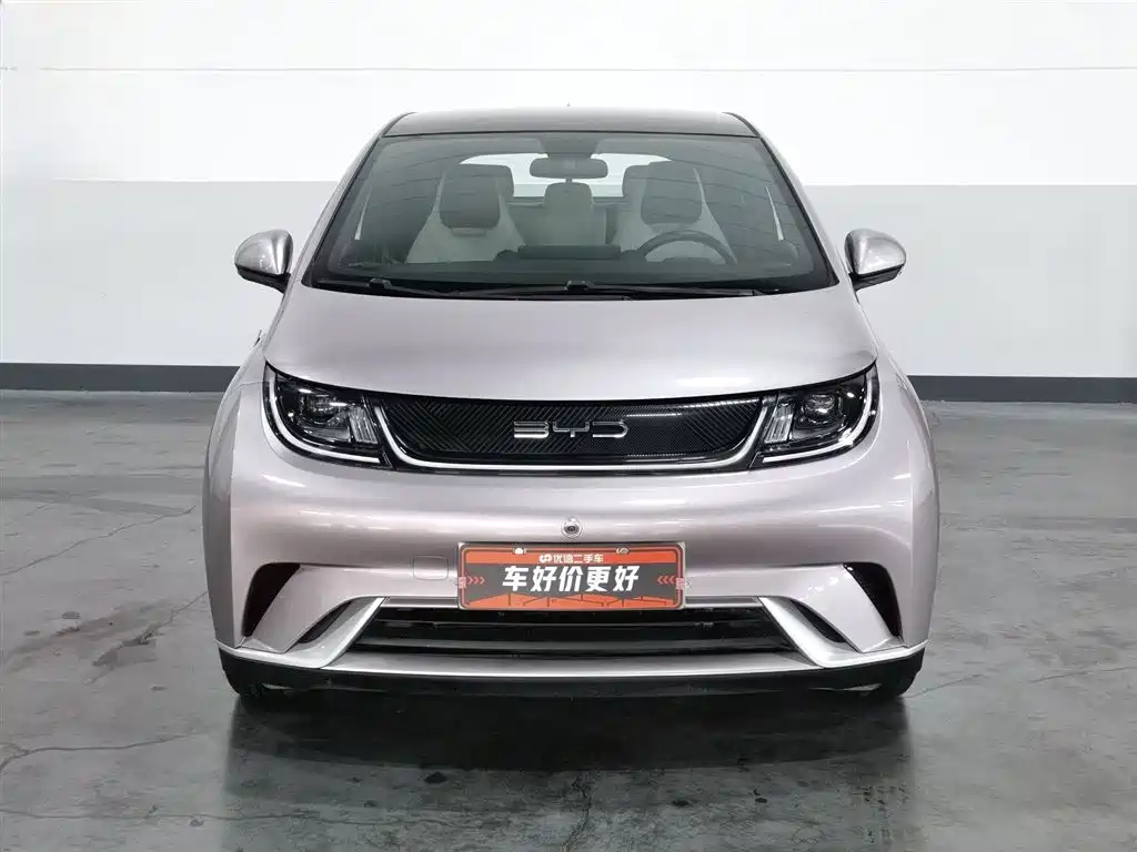 BYD Dolphin 2021 405km Fashion