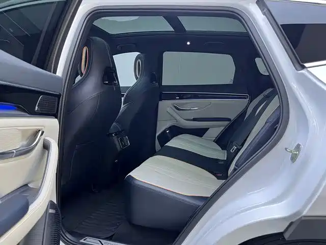 BYD SONGJIANG NEW ENERGY