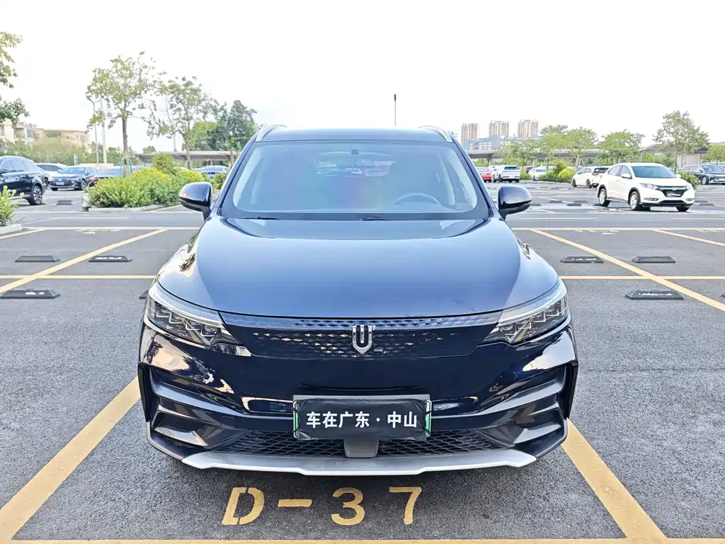 Skyworth EV6 — миниатюра 2