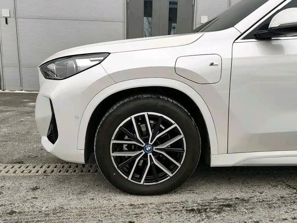 BMW IX1