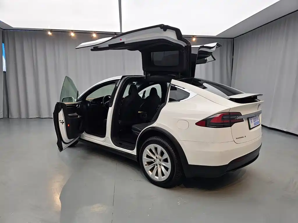 Tesla Model X — миниатюра 21