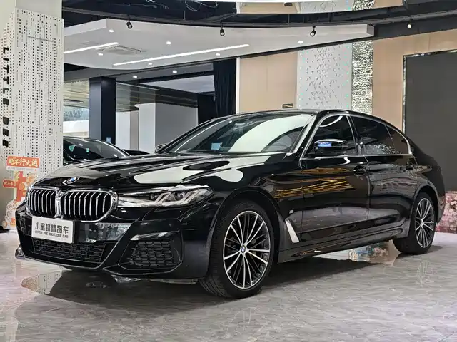 BMW 5 SERIES