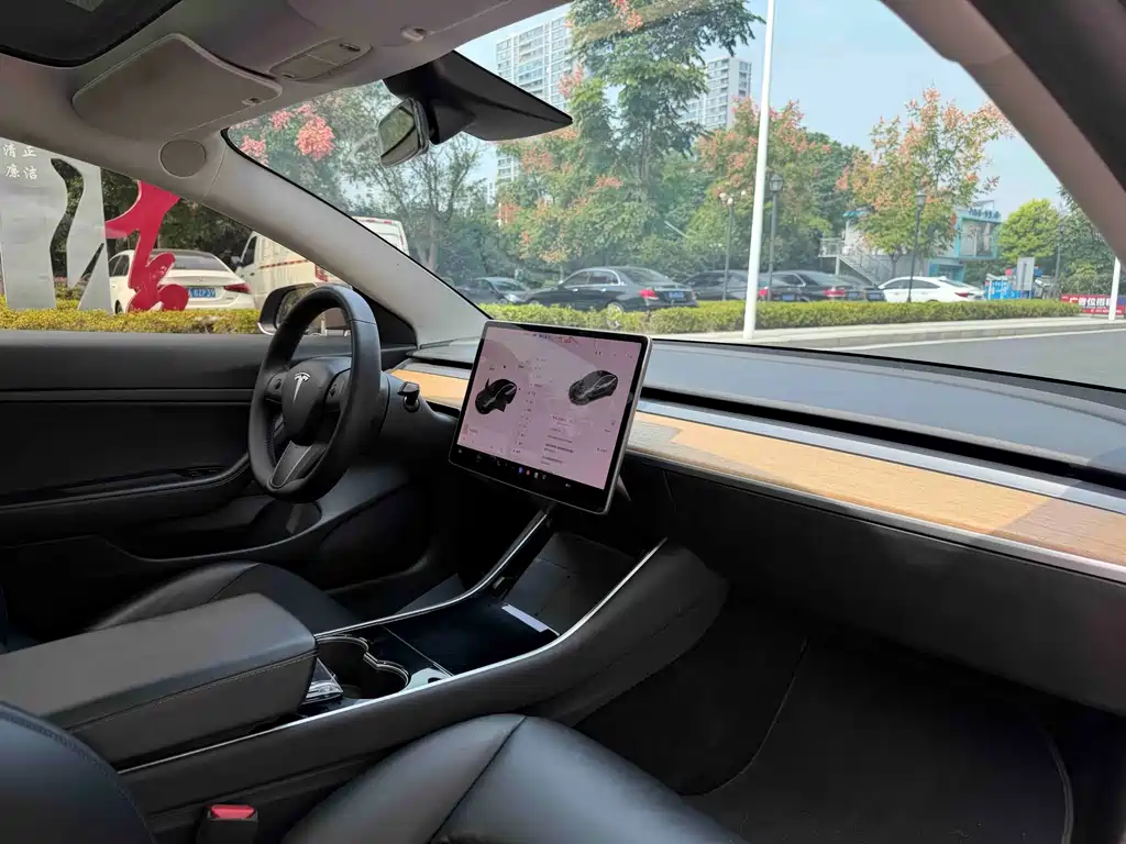 Tesla Model 3 — миниатюра 11