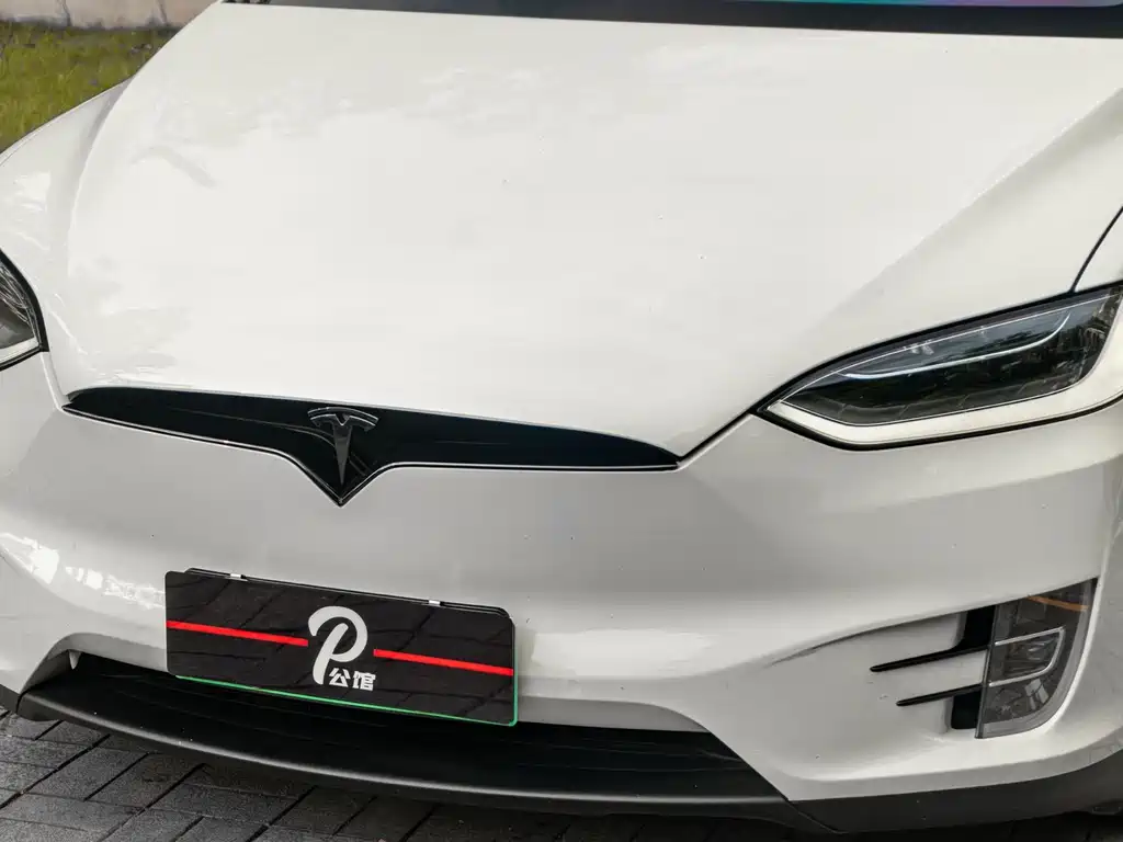 Tesla Model X 2017 Model X 100D