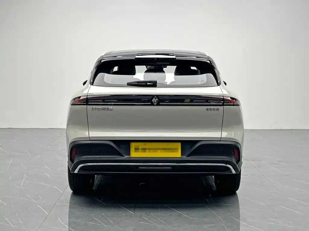 Baojun Yunhai — миниатюра 5