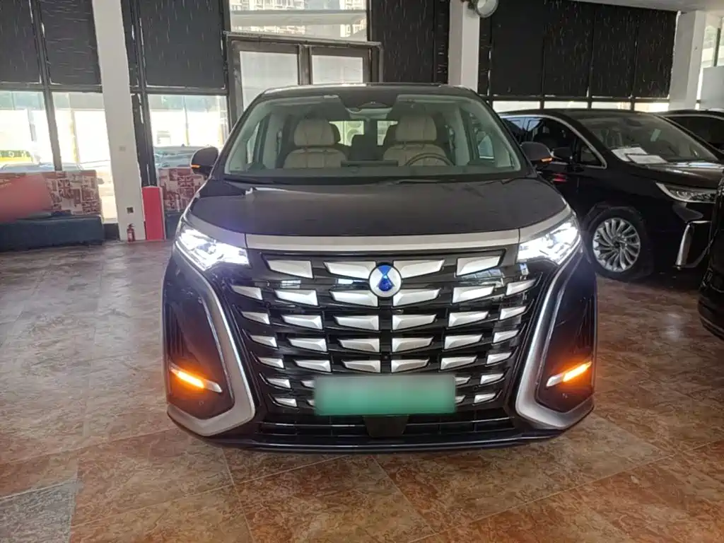 Denza Denza D9 — миниатюра 3