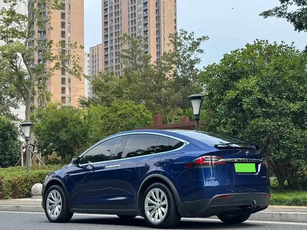 Tesla Model X — миниатюра 14