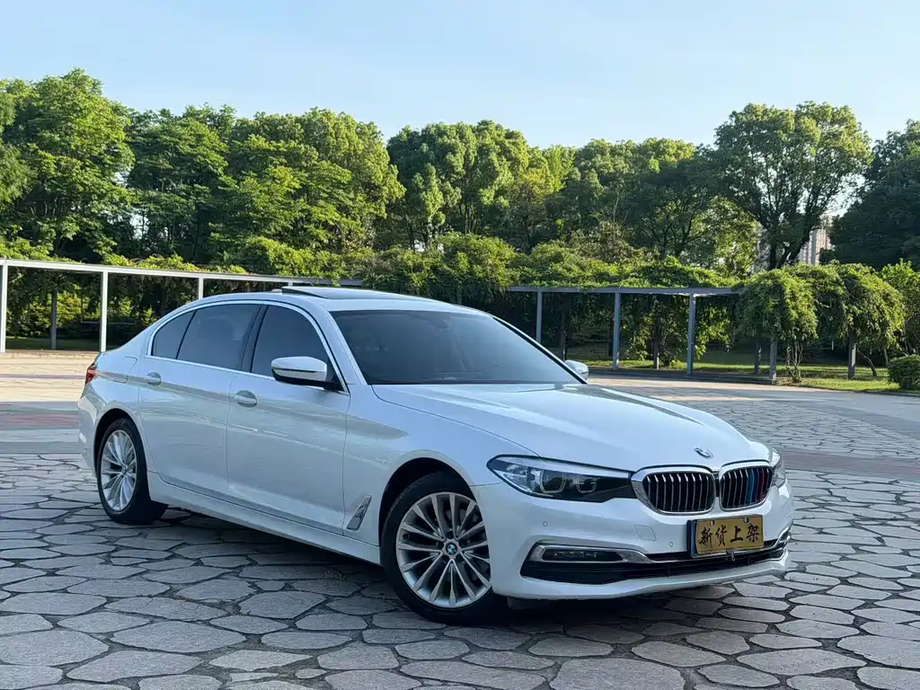 BMW 5 Series — миниатюра 3