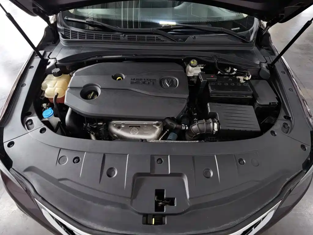 Changan Ruicheng CC — миниатюра 6
