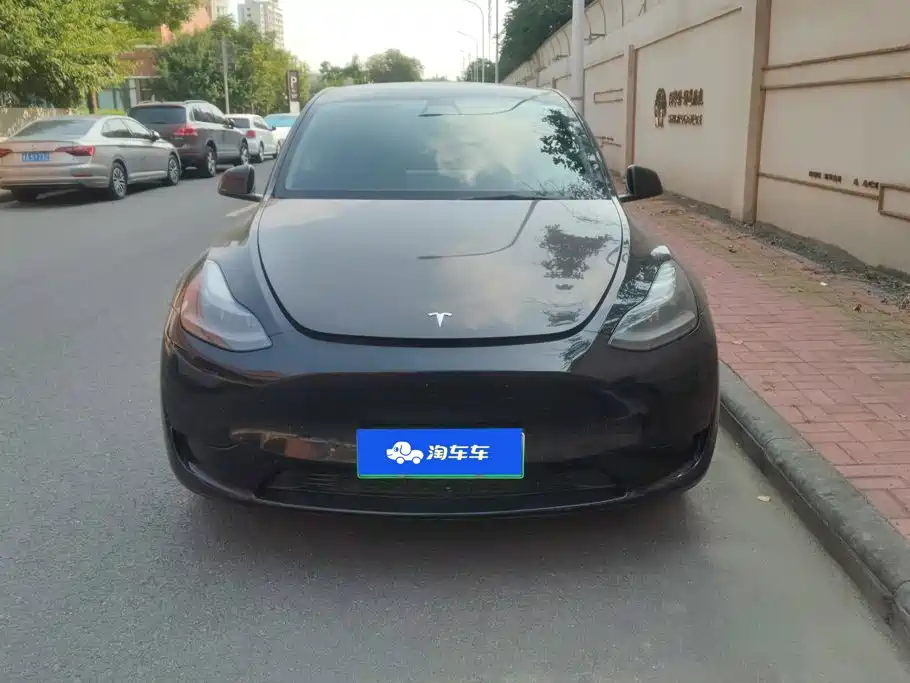 Tesla Model Y — миниатюра 2