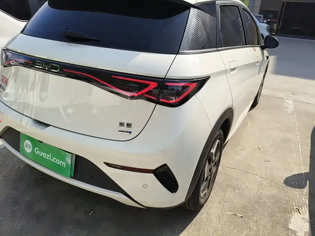 BYD Dolphin — миниатюра 8