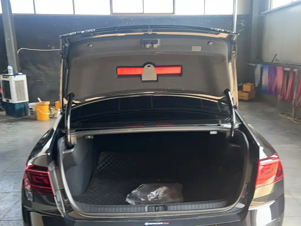 Volkswagen Magotan — миниатюра 16