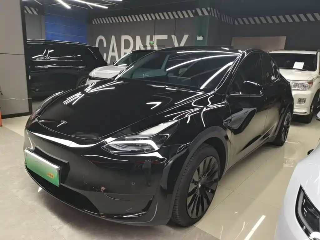 Tesla Model Y — миниатюра 2