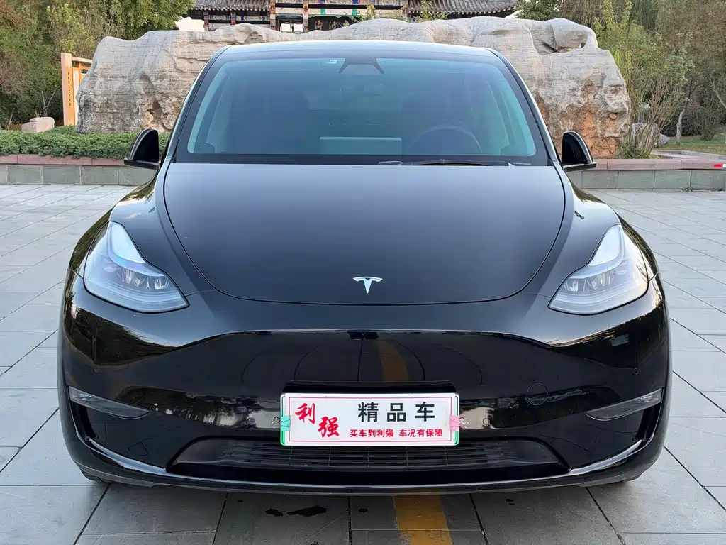 Tesla Model Y — миниатюра 2