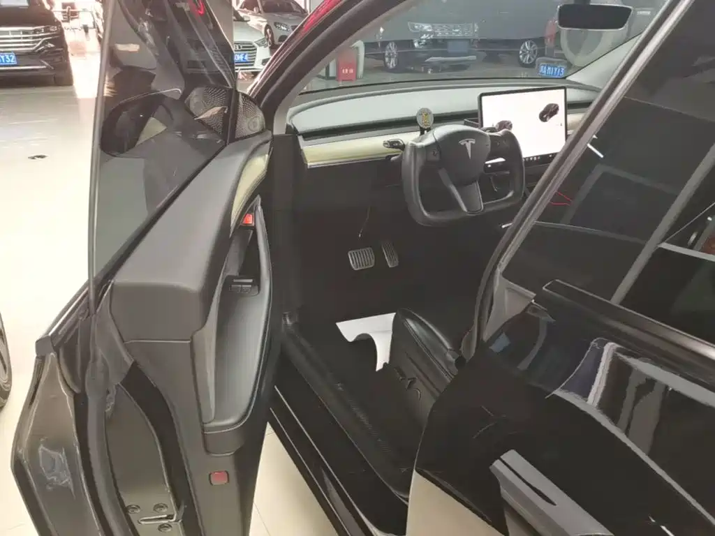 Tesla Model Y — миниатюра 16