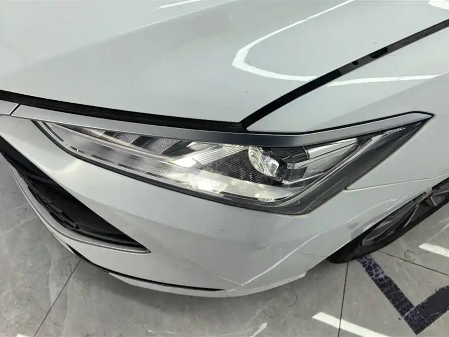 BYD Qin Plus PLUS 2024 DM-i 55KM Lead