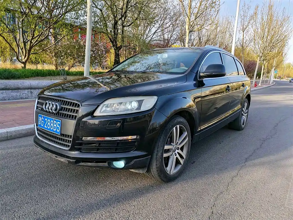 Audi Q7 2007