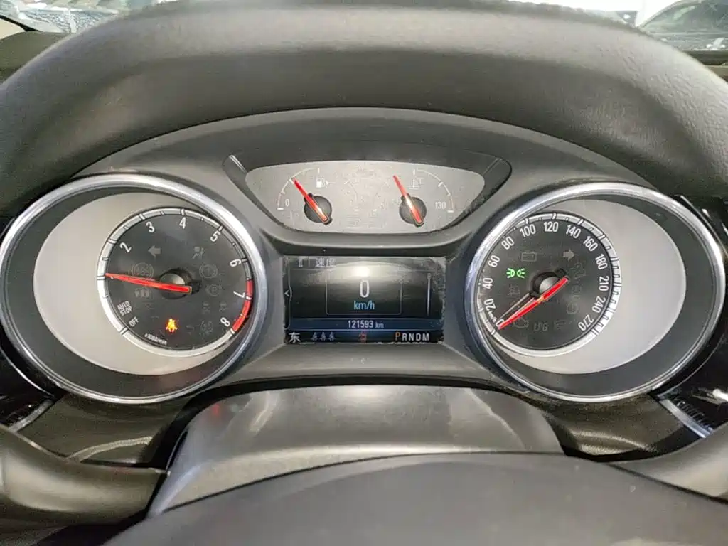 Buick Regal — миниатюра 12