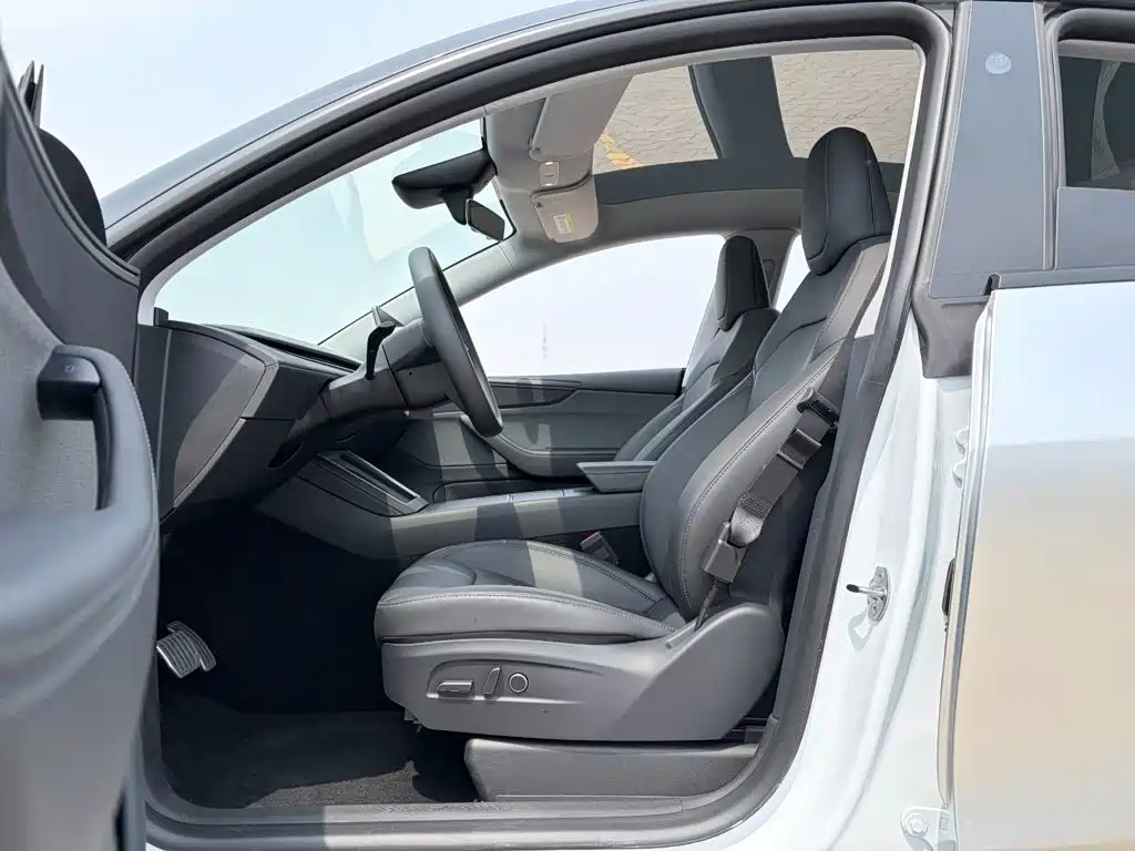 Tesla Model Y — миниатюра 5