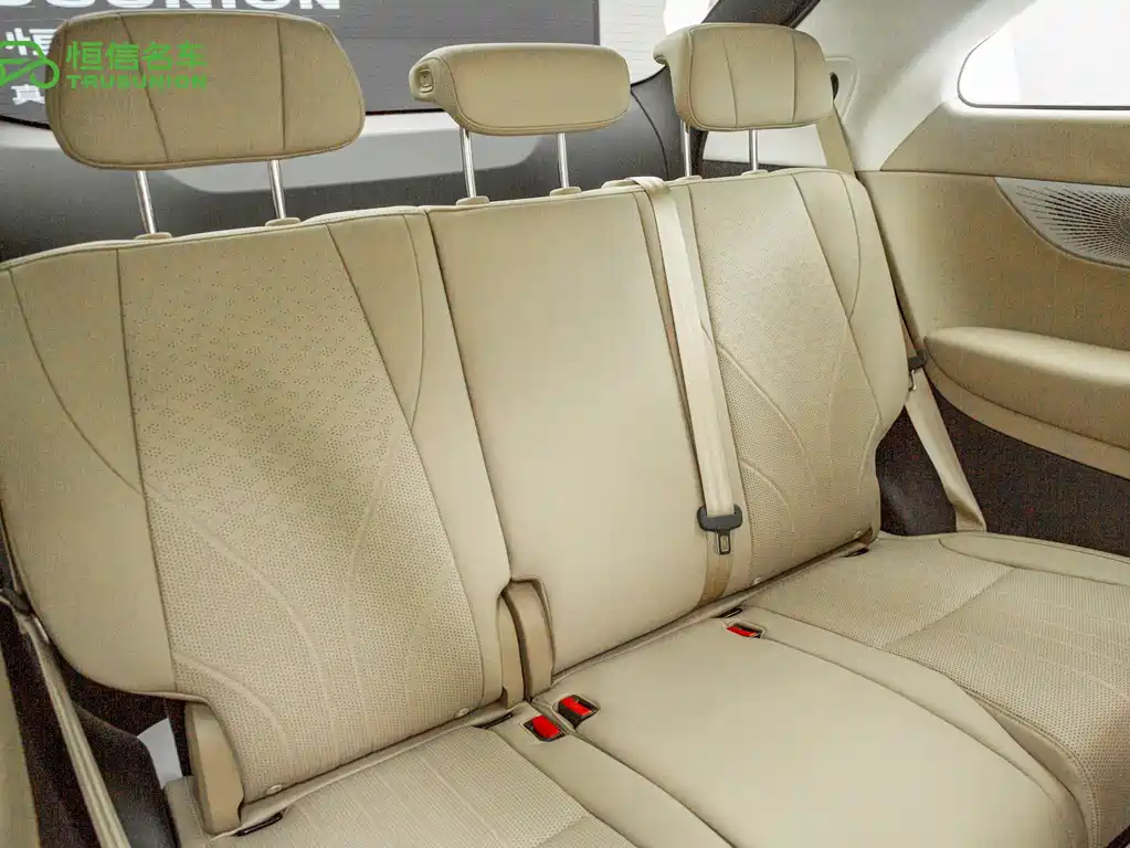 XPeng X9 — миниатюра 8