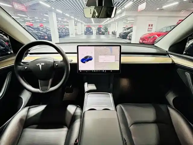 TESLA MODEL Y