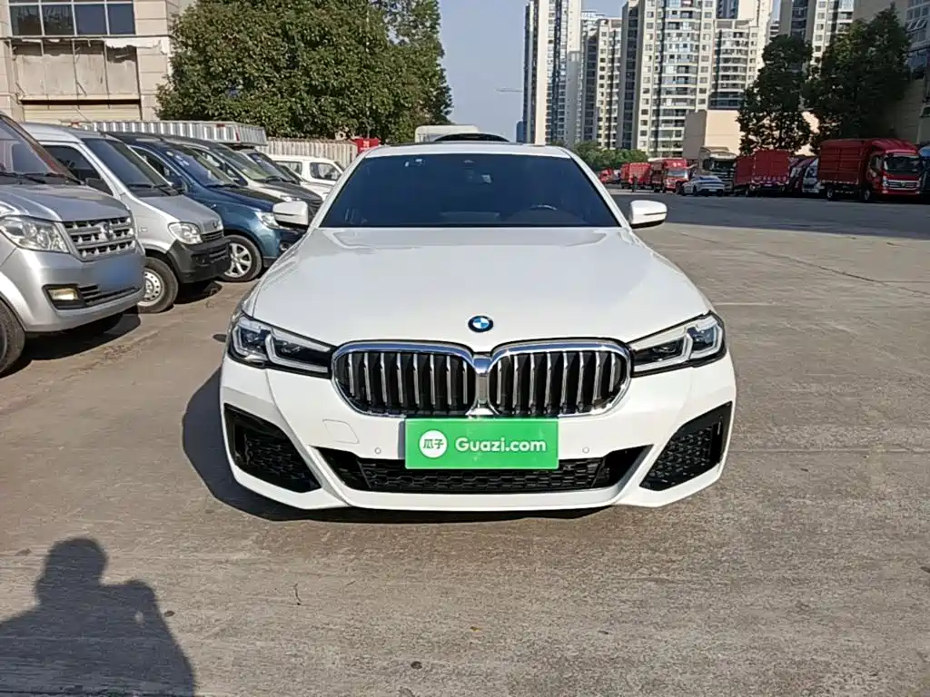 BMW 5 Series — миниатюра 3