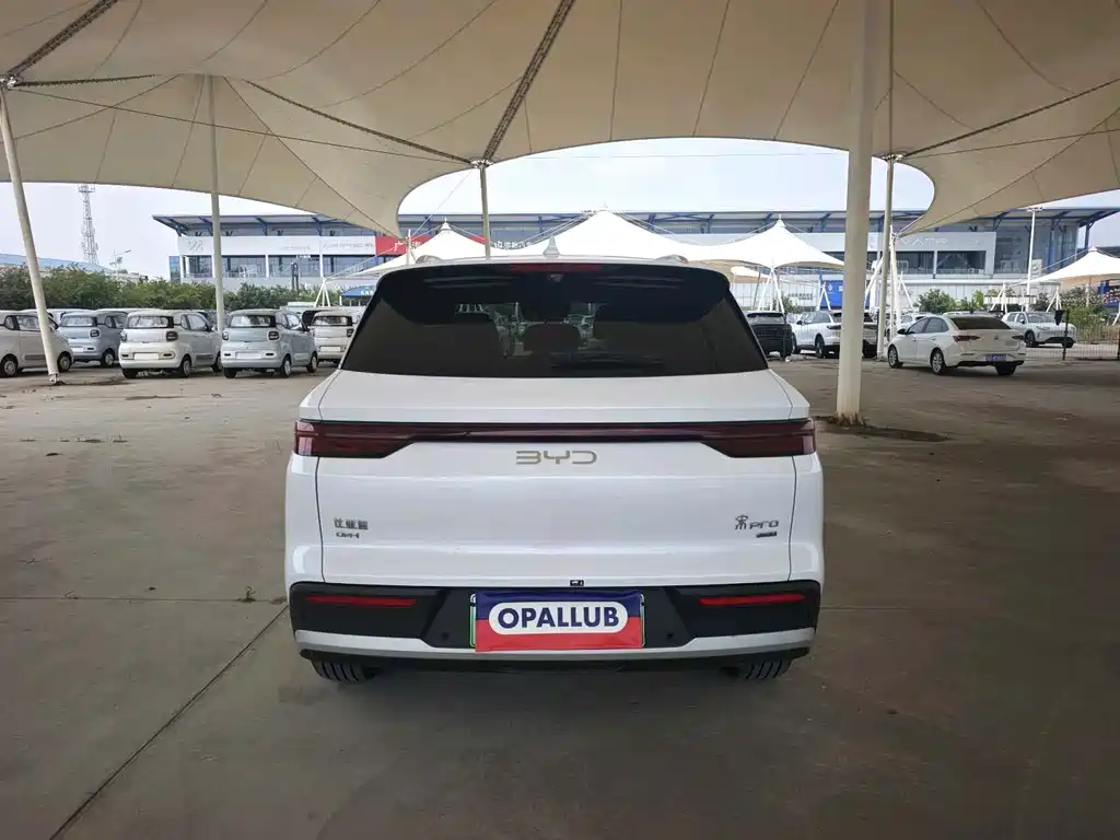 BYD Pro New Energy - фото 9