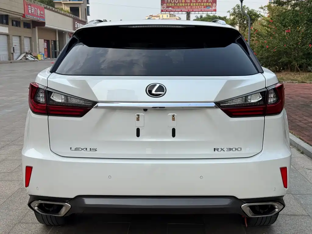 LEXUS RX