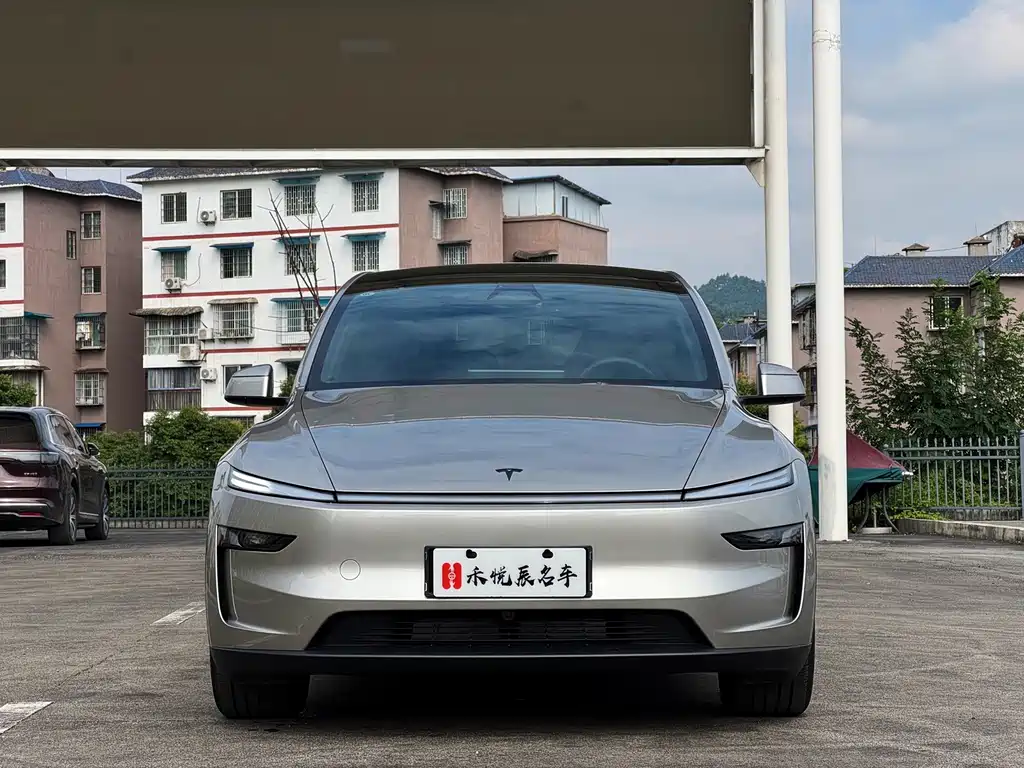 Tesla Model Y L — миниатюра 2