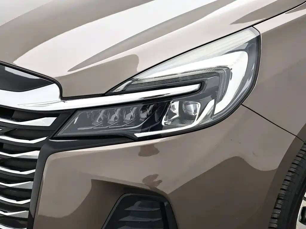 Buick GL8 — миниатюра 18