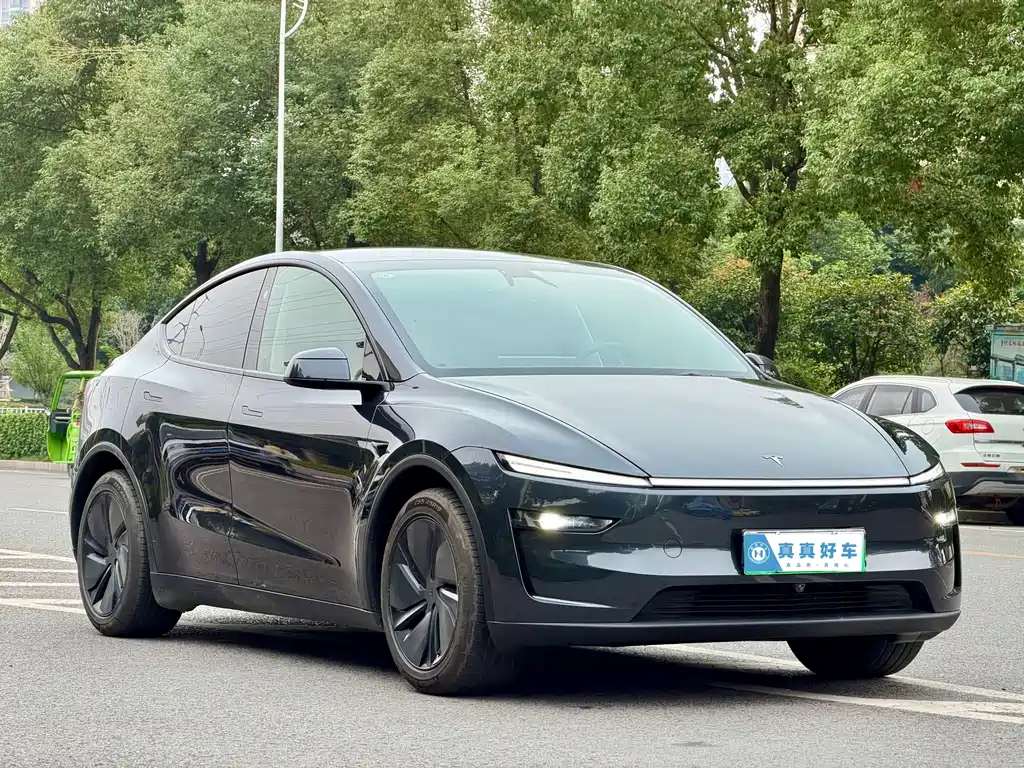 Tesla Model Y — миниатюра 3