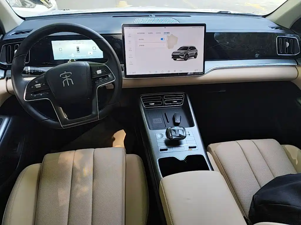 BYD Pro New Energy — миниатюра 10