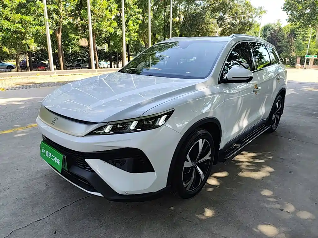 BYD Pro New Energy — миниатюра 2
