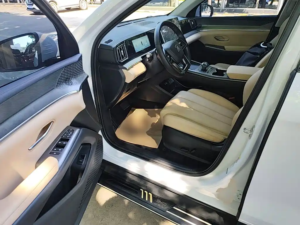 BYD Pro New Energy — миниатюра 16