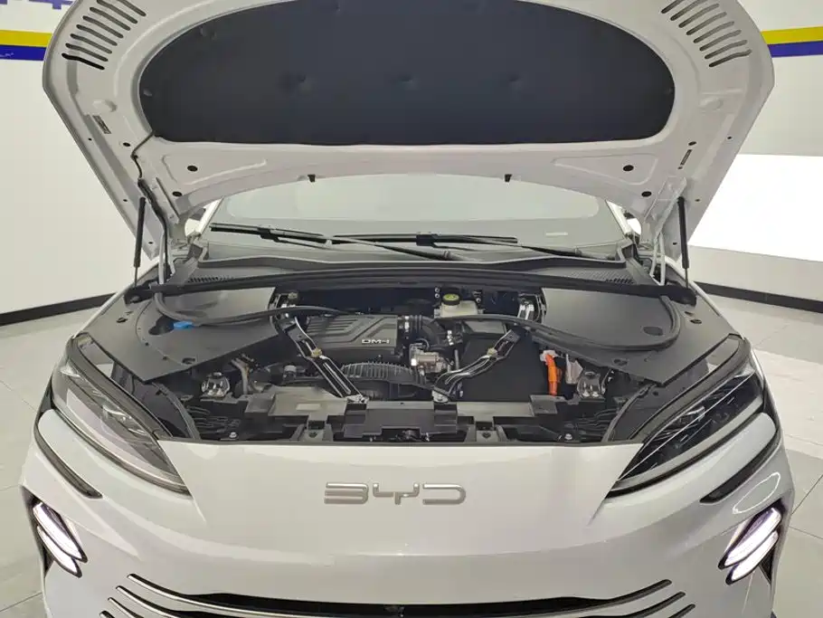 BYD PLUS New Energy — миниатюра 10