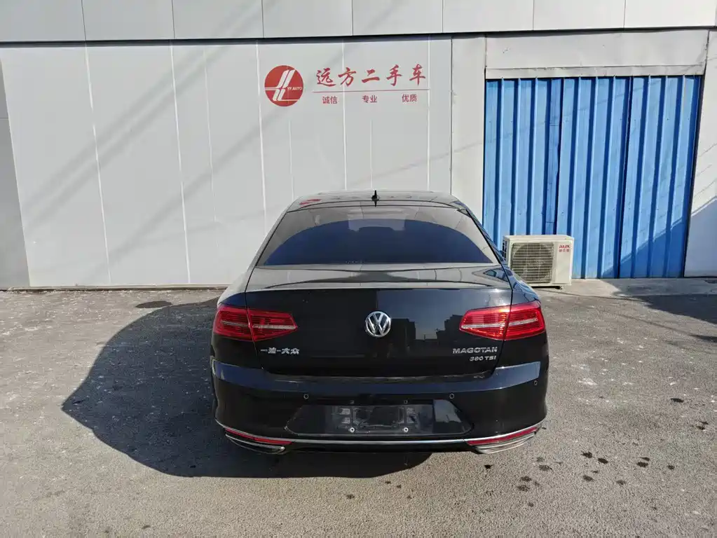 Volkswagen Magotan 2019 380TSI DSG Luxury V