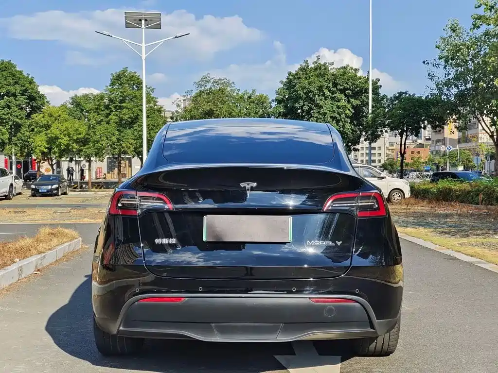 Tesla Model Y — миниатюра 8